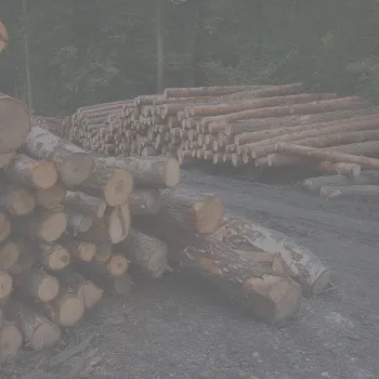 Forst und Landwirtschaft